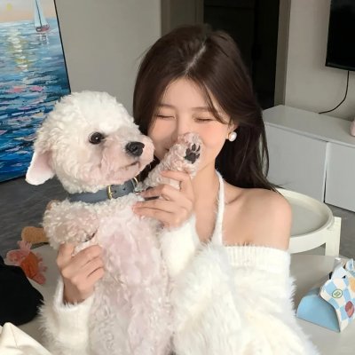 流星